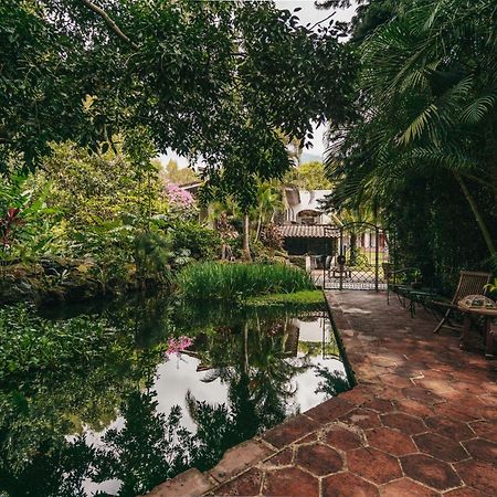 Amomoxtli Hotel Tepoztlan Exterior photo