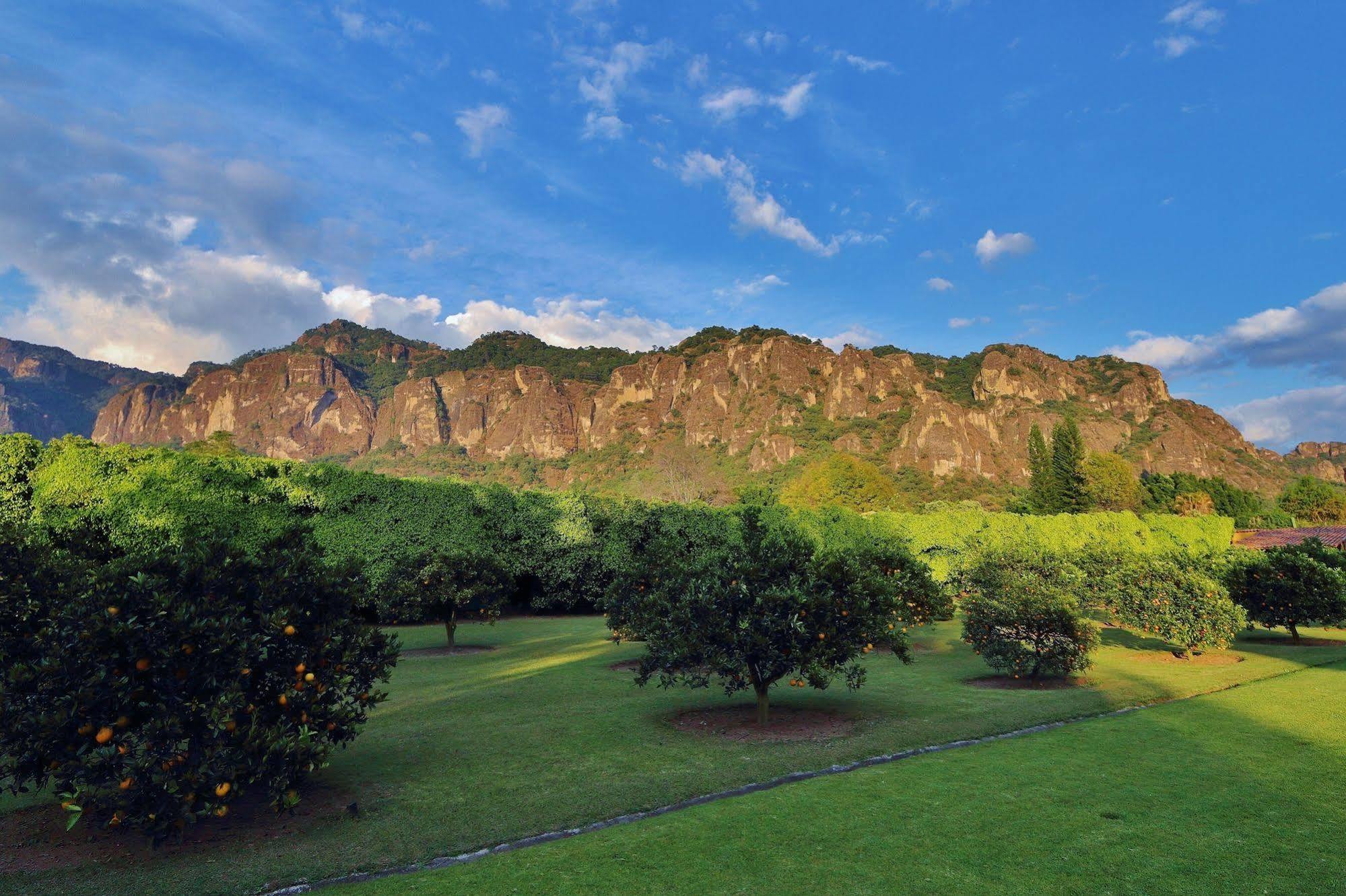 Amomoxtli Hotel Tepoztlan Exterior photo